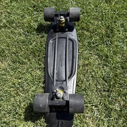 Skateboard Penny Board