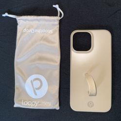 LOOPY CASES: SANDSTONE