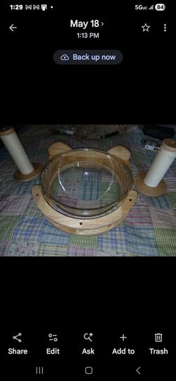 Cat capsul new