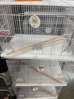 Cage big