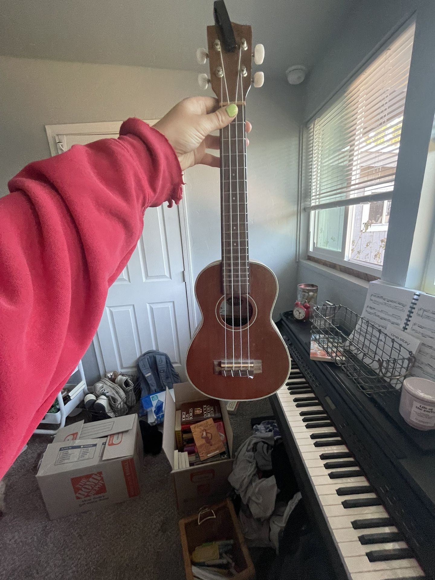 Ukulele