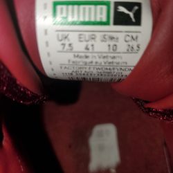 Burgundy Pumas