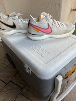 Nike Air Zoom Basketball Sneakers