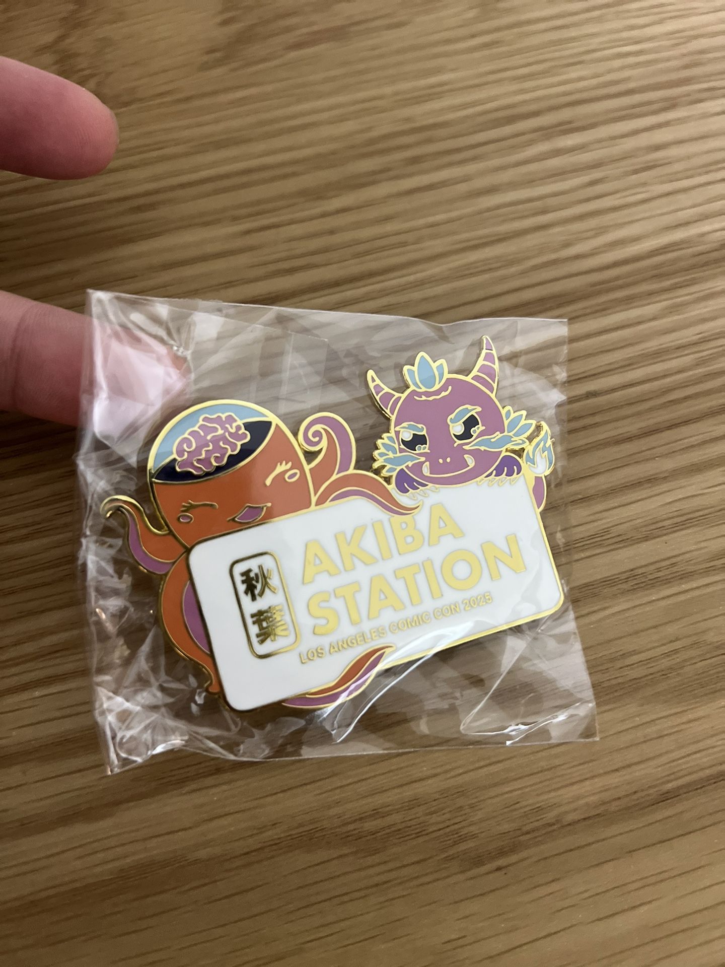 Comic Con 2025 Pin