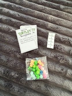Tiny Turtle Figurines with Gift Cards Set