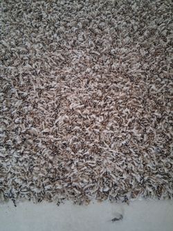 Cut burber carpet