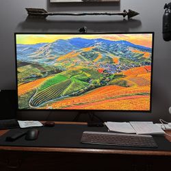 LG 43” 3840x2160 IPS Panel LCD Monitor 4 input. READ DESC