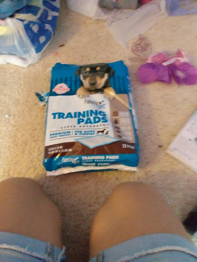 20-15 Dog Pee Pads