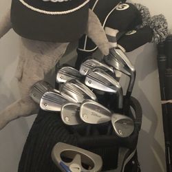 Taylor made P-790 Irons. 4-P