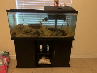 55 gallon fish tank 