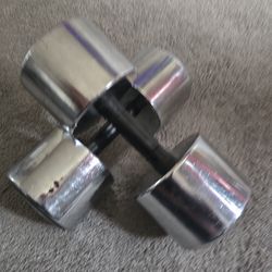 NordicTrack Weights