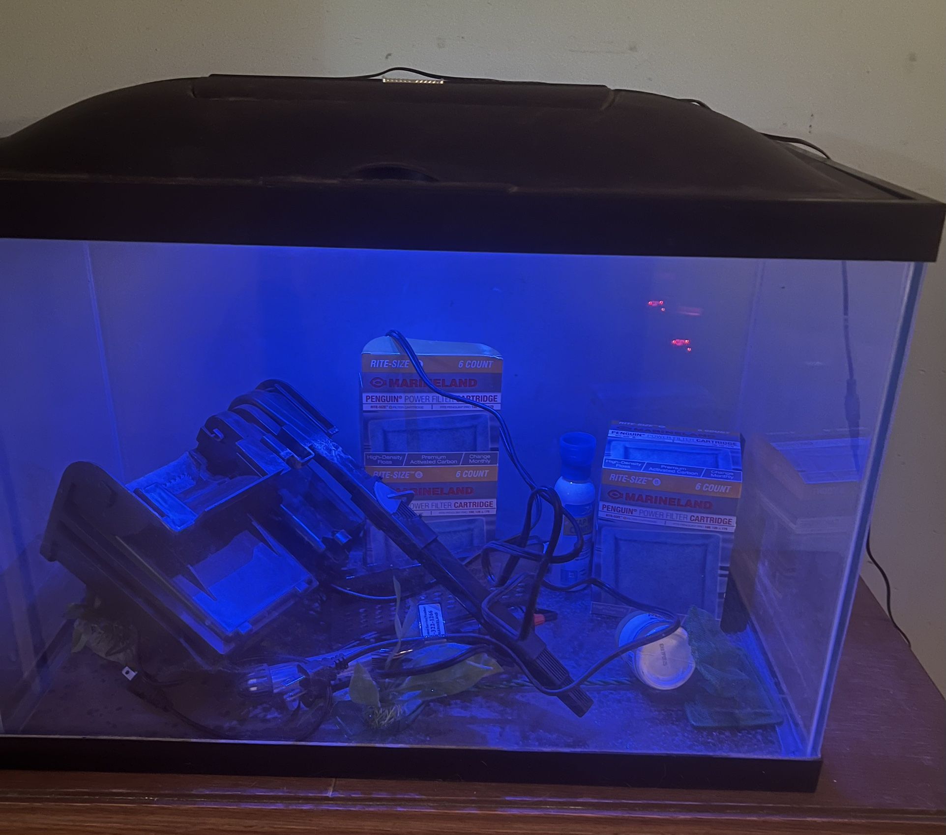 20 Gal Fish Tank