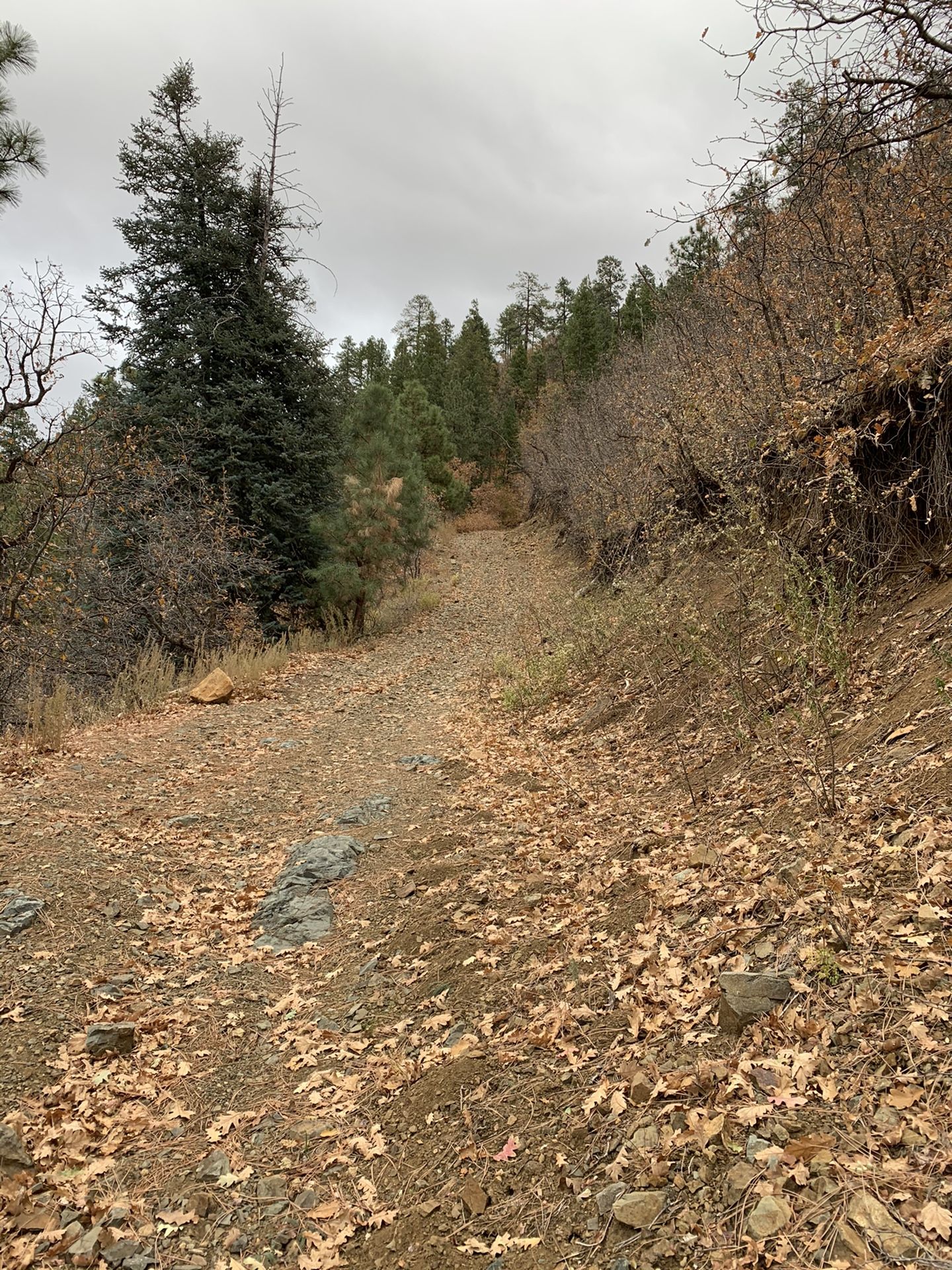 2 acre lot