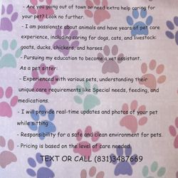 Pet Care 