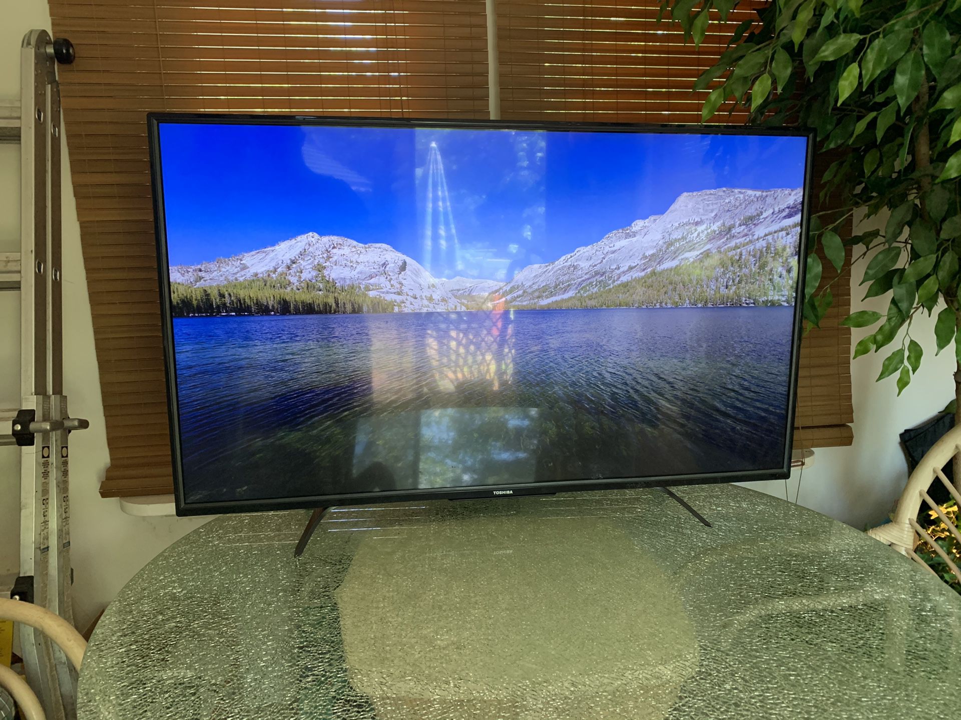 Toshiba 48” Inch Flat Screen TV