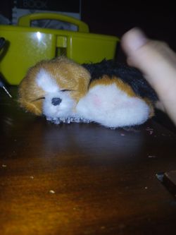 A small sleeping dog statute