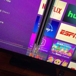 ( READ READ AD )...55" SMART TV.  GRANDSON HIT THE FRONT GOT LINES IN IT..  35.00  NO LESS