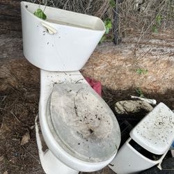 Toilet/ Escusado  