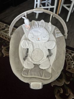Baby Bouncer