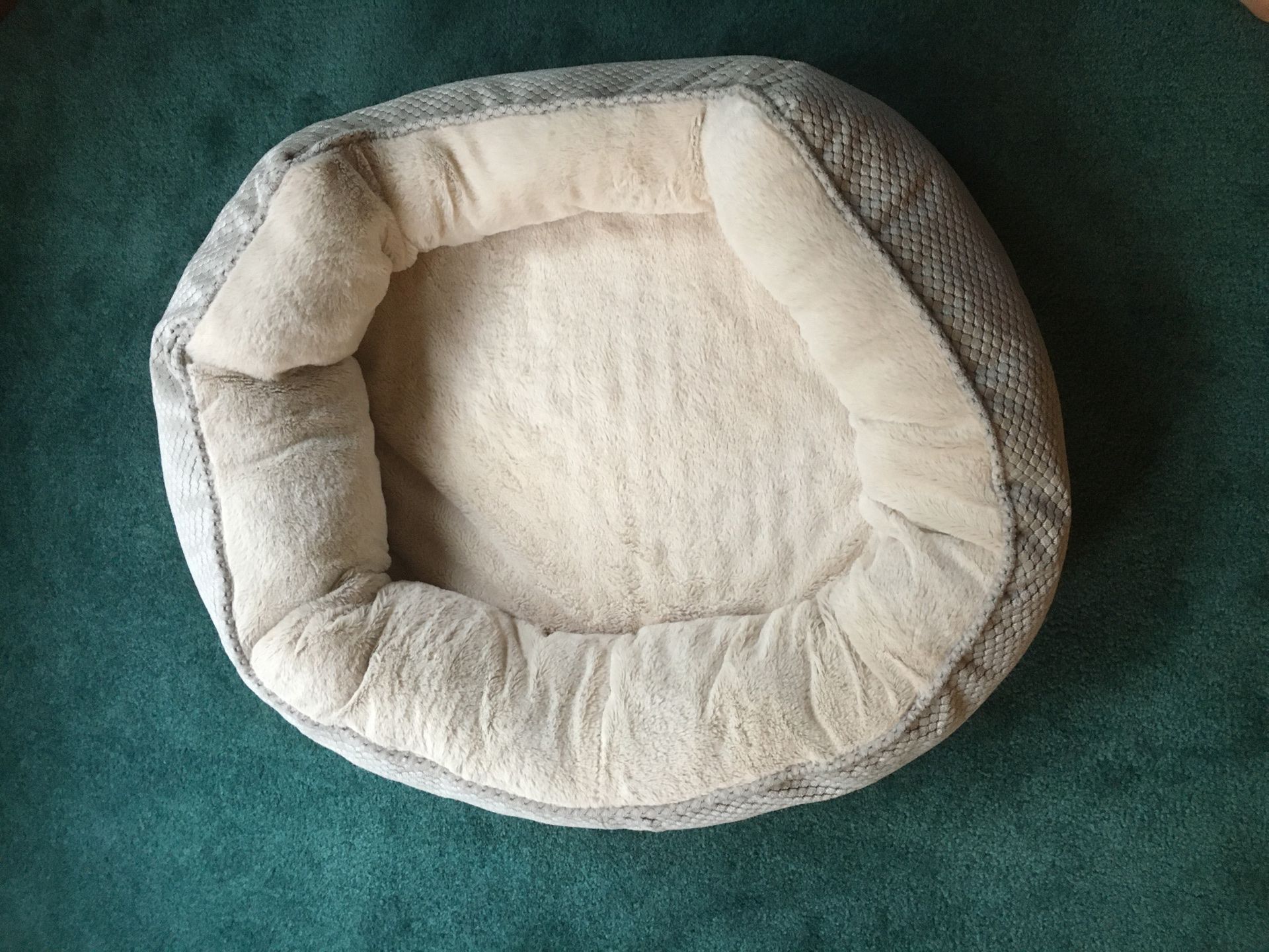 Nice Dog bed for small dogs 🐕