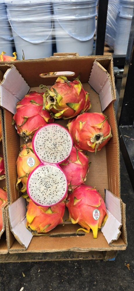 Dragon Fruit Blanca DE México