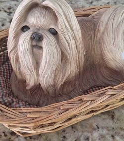 Vintage Sandicast Shih Tzu Dog Hand Painted Figurine Sculpture in Basket designed and hand painted by Sandra Brue Limited Edition.  Great gift! 