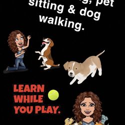 Dog Training 