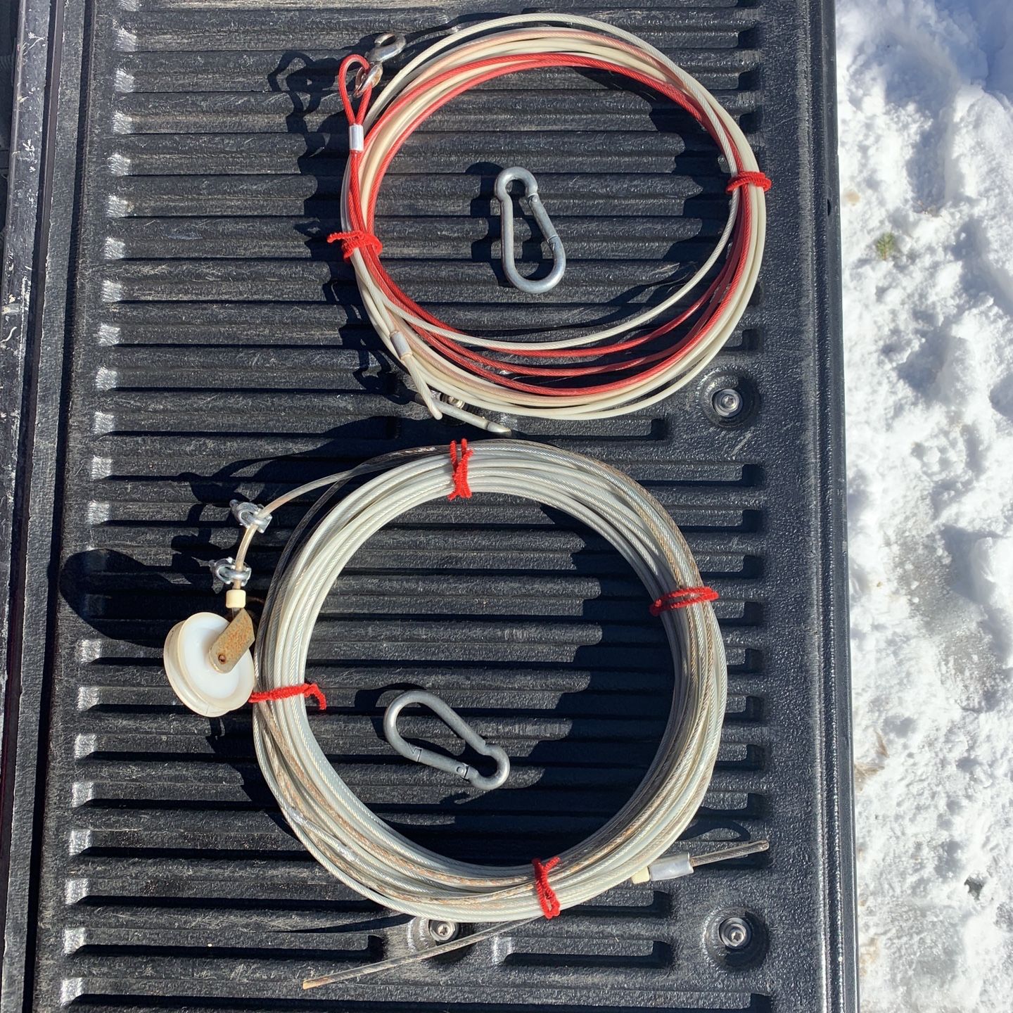 100 ft Dog Run With 30 Ft Tie.