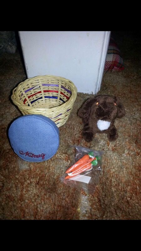 American girl doll Julie's bunny nutmeg