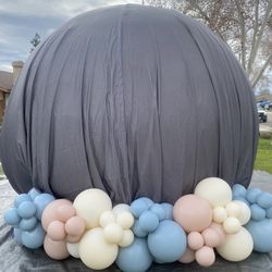 Gender Reveal 