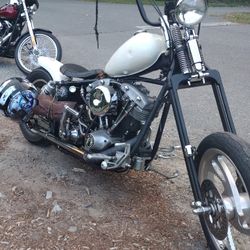 1978 Shovelhead FLH 