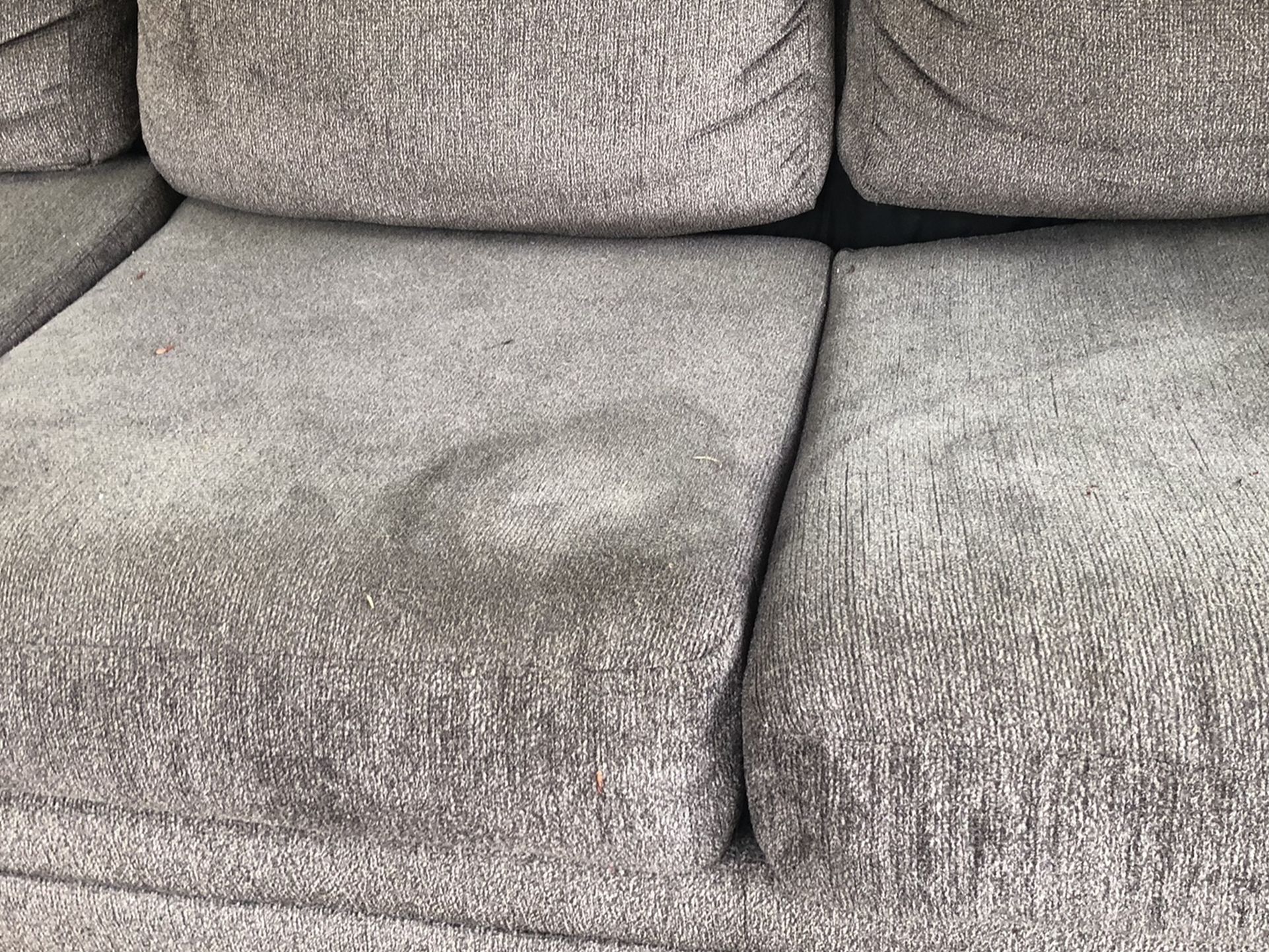 Free Couch See Pictures