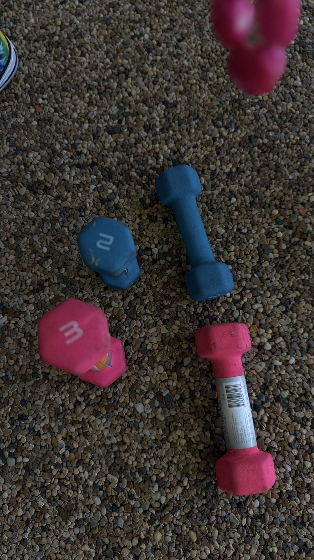 2lbs & 3lbs Dumbbells