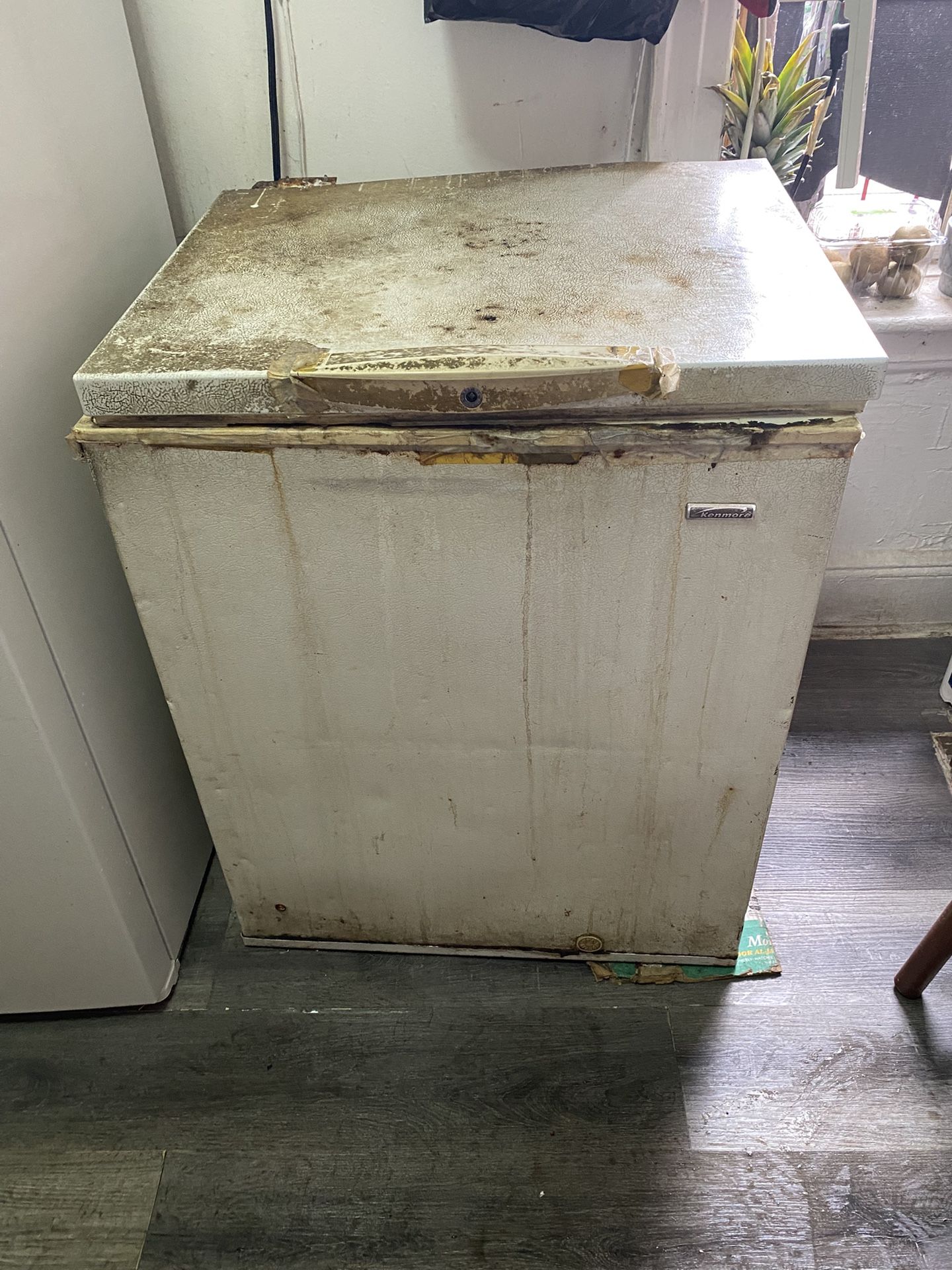 Kenmore chest deepfreezer-works great-$50