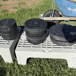 Weight Plates 1” Hole