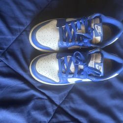Blue Dunks 