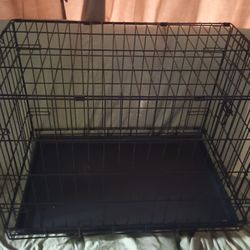 Dog Supplies 