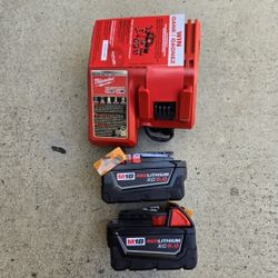Milwaukee 18v Batteries 5.0 Ah And Charger Brand New 