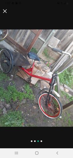 Custom Trike Bike