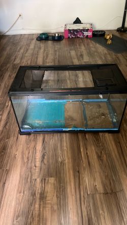 FREE Terrarium Tank 40g