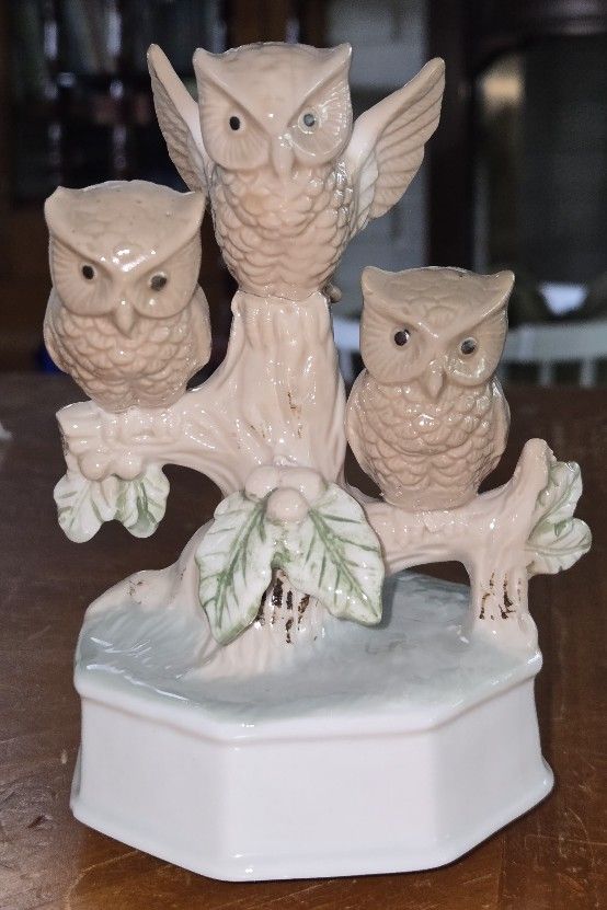 Owl Music Box