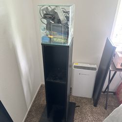 Full Small Fish tank Setup