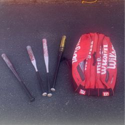 4 Bats And A Bag
