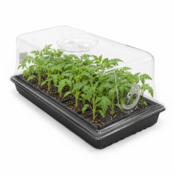 3-Pack 10" x 20" Hydroponic Cloning Humidity Dome & Propagation Tray Kit