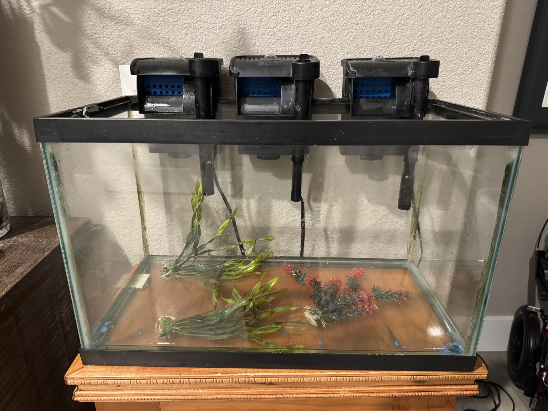 Fish Tank, Filtration And Accessories 