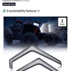 Rzr Fang Lights 