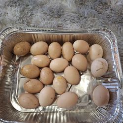 Organic EGGS 🥚 