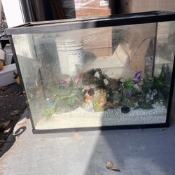 Fish Tank With Stones And Artificial Reefs