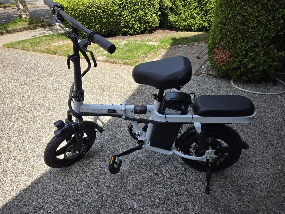 Electric Bike ENGWE T-14