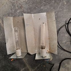 Grow Lights, Fan